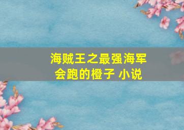 海贼王之最强海军会跑的橙子 小说